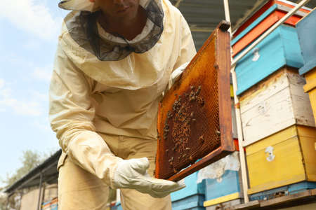 Beekeeper in uniform with honey frame at apiary, closeup
