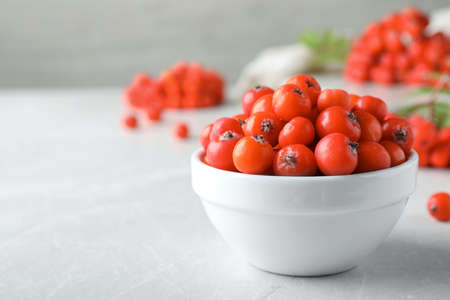 Fresh ripe rowan berries in bowl on light table, closeup. Space for textの写真素材