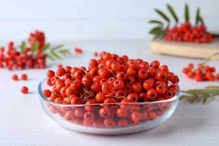 Fresh ripe rowan berries in glass bowl on white wooden tableの写真素材