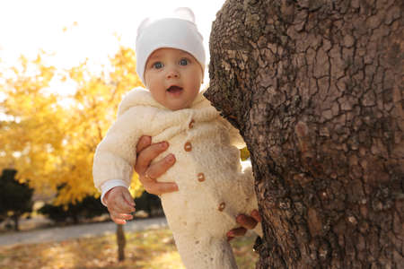 Father holding his baby daughter near tree in park on sunny autumn day, closeupの写真素材