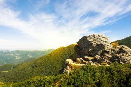 Beautiful mountain landscape with cliff and forest on sunny day. Drone photography