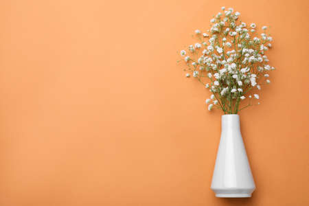 Beautiful gypsophila flowers in vase on orange background, top view. Space for textの写真素材