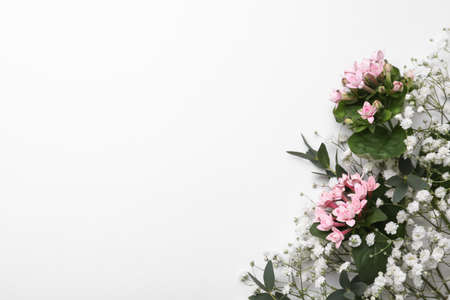 Beautiful floral composition with gypsophila flowers on white background, top view. Space for textの写真素材