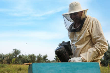 Beekeeper calming bees in hive with smokepot at apiary