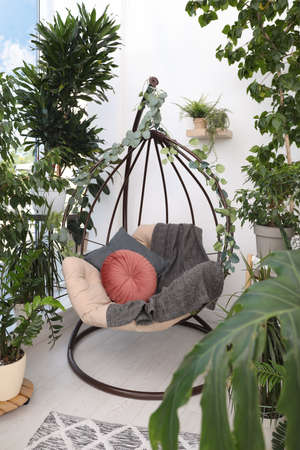 Comfortable egg chair and beautiful houseplants in room. Lounge zone interiorの写真素材