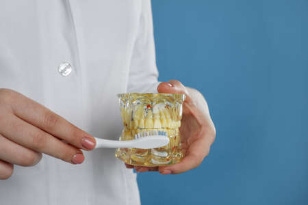 Dentist with jaws model and toothbrush on light blue background, closeup. Oral care demonstration