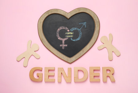 Word Gender, chalkboard with symbols and figures on pink background, flat layの写真素材