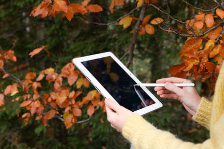 Woman drawing with graphic tablet near forest in autumn, closeupの写真素材