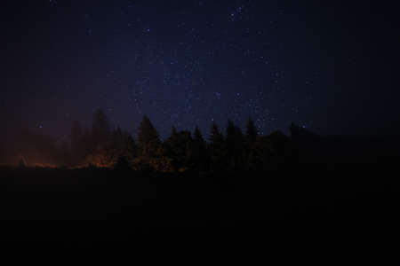 Beautiful view of dark forest under starry sky at nightの写真素材