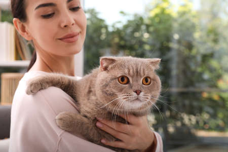 Woman with her adorable cat at homeの写真素材