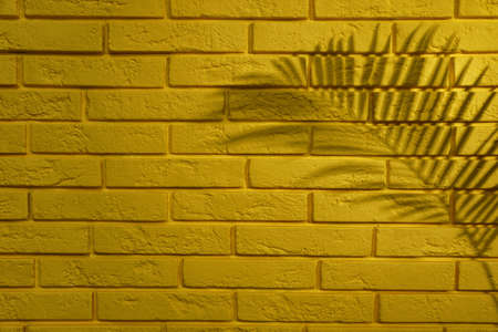 Shadow of tropical palm leaf on yellow brick wall, space for textの写真素材
