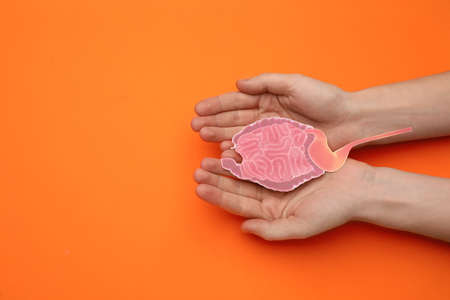 Woman holding paper cutout of small intestine on orange background, top view. Space for textの写真素材