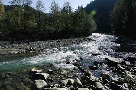 Mountain river flowing on sunny day. beautiful landscape