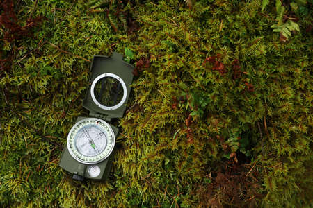 Compass on moss, above view. Space for textの写真素材
