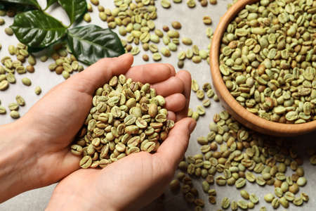 Woman holding pile of green coffee beans over gray table, top viewの写真素材