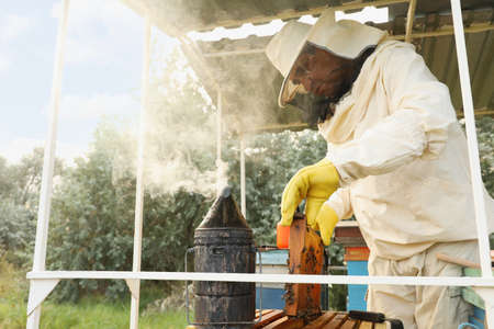 Beekeeper in uniform with honey frame at apiaryの写真素材