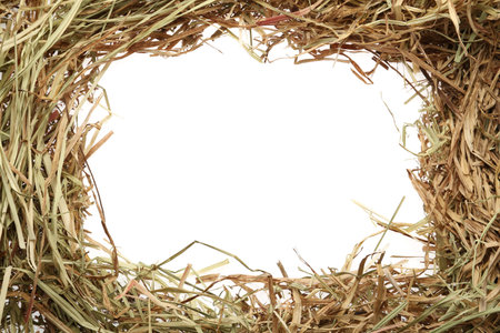 Frame made of dried hay on white background, top view. Space for textの写真素材