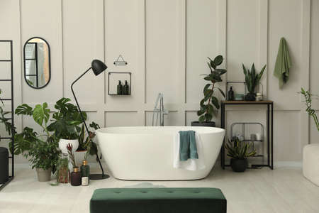 Stylish bathroom interior with modern tub and beautiful houseplants. Home design