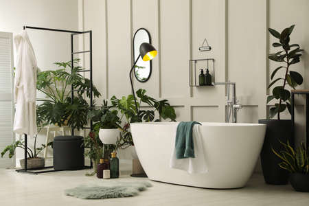 Stylish bathroom interior with modern tub and beautiful houseplants. Home designの写真素材