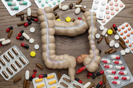 Anatomical model of large intestine and many different pills on wooden background, flat layの写真素材