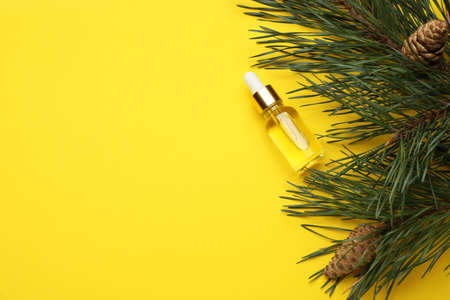 Glass bottle of essential oil and pine branch with cones on yellow background, flat lay. Space for textの写真素材