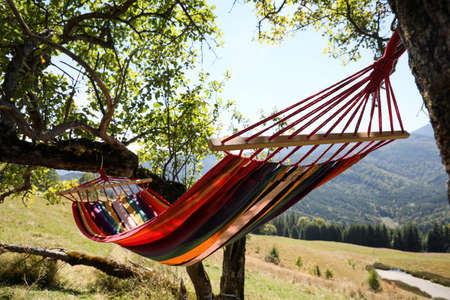 Empty comfortable hammock in mountains on sunny day