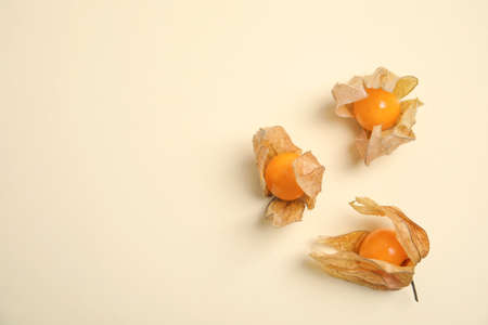 Ripe physalis fruits with dry husk on beige background, flat lay. Space for textの写真素材