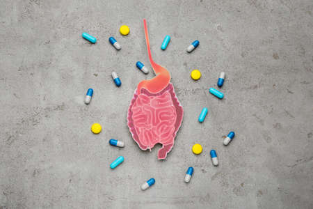 Paper cutout of small intestine and pills on light gray background, flat layの写真素材