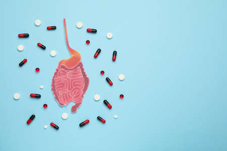 Paper cutout of small intestine and pills on light blue background, flat lay. Space for text
