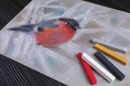 Colorful chalk pastels and beautiful painting of bullfinch on black wooden tableの写真素材