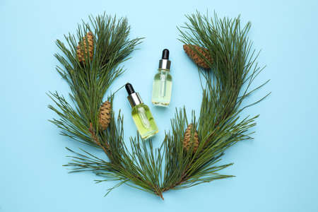 Flat lay composition with essential oil, pine branches and cones on light blue backgroundの写真素材