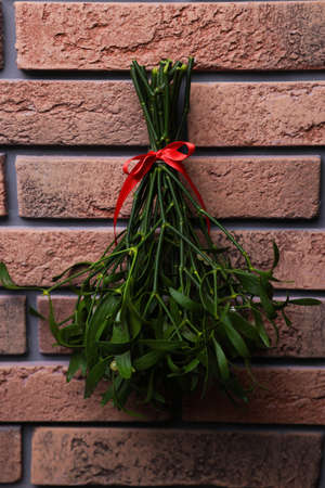 Mistletoe bunch with red bow hanging on brick wall. Traditional christmas decorの写真素材