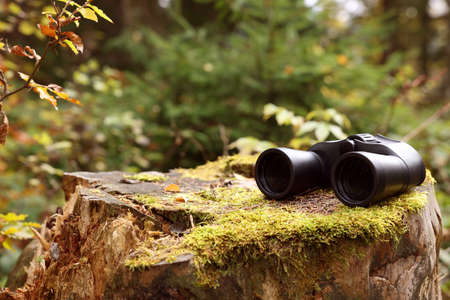 Binoculars on tree stump in forest. Space for textの写真素材