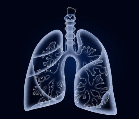 Illustration of human lungs on dark backgroundの写真素材