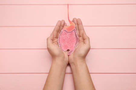 Woman holding paper cutout of small intestine on pink wooden background, top view