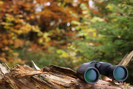 Binoculars on log in forest, space for textの写真素材