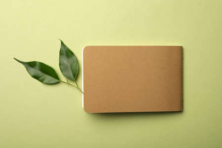 Kraft planner and leaves on light green background, flat layの写真素材