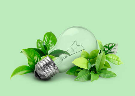 Saving energy, eco-friendly lifestyle. Light bulb and fresh leaves on green backgroundの写真素材