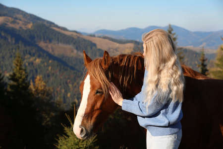 Young woman petting beautiful horse in mountains on sunny dayの写真素材