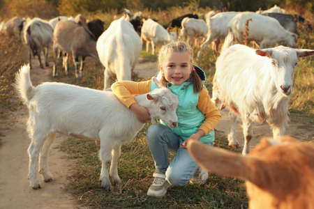Farm animal. Cute little girl hugging goatling on pastureの写真素材