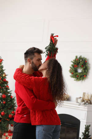 Happy couple kissing under mistletoe bunch in room decorated for Christmasの写真素材