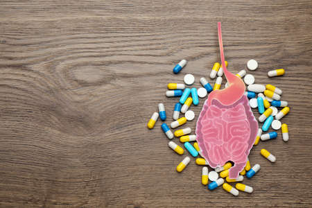 Paper intestine cutout and many different pills on wooden background, flat lay. Space for textの写真素材