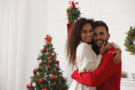 Portrait of lovely couple under mistletoe bunch in room decorated for Christmasの写真素材