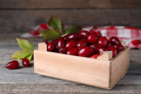 Fresh ripe dogwood berries in crate on wooden table, closeupの写真素材