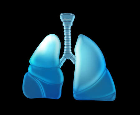 Illustration of human lungs on black backgroundの写真素材