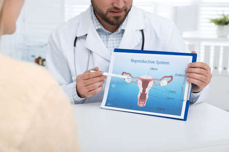 Gynecologist showing illustration of female reproductive system to young woman, closeupの写真素材