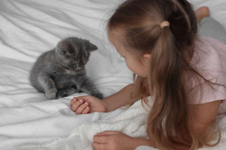 Cute little girl playing with kitten on bed. Childhood petの写真素材