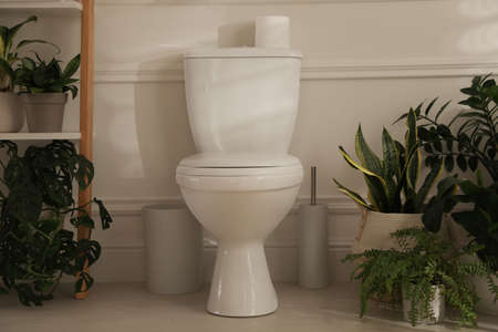 White toilet bowl and green houseplants in restroomの写真素材