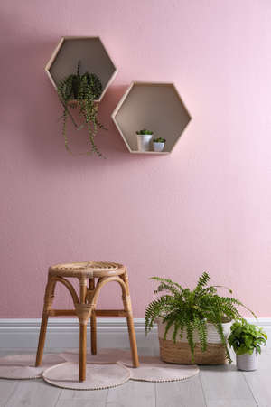 Stylish room interior with wooden stool and plants near pink wallの写真素材
