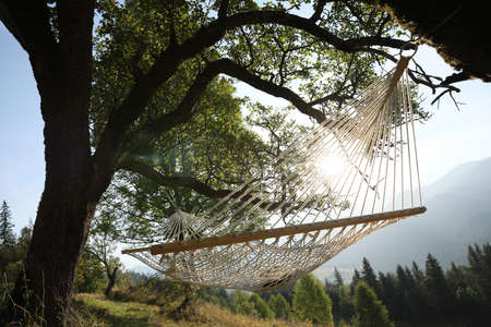 Comfortable net hammock outdoors on sunny dayの写真素材